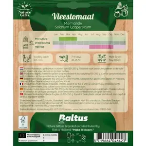 Tomaat marmande 15st - afbeelding 2