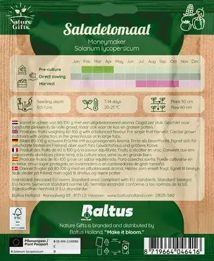 Tomaat moneymaker 15st - afbeelding 2