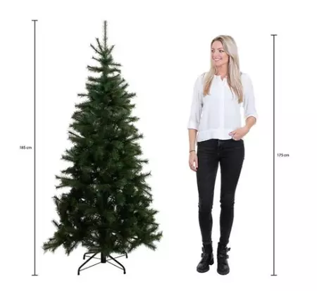 Triumph Tree Kerstboom forest frosted 185cm groen hoogte