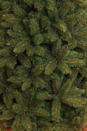 Triumph Tree Kerstboom forest frosted 185cm groen detail