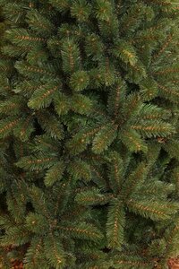 Triumph Tree Kerstboom forest frosted 185cm groen detail