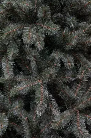 Triumph Tree Kerstboom forest frosted 185cm newgroth blue details