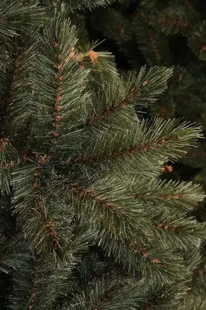 Triumph Tree Kerstboom forest frosted 215cm newgrowth blue detail