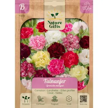 Tuinanjer grenadin mengsel 50st - afbeelding 1