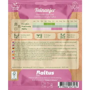 Tuinanjer grenadin mengsel 50st - afbeelding 2