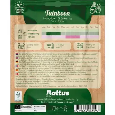 Tuinboon hangdown groenkernig per 4m - afbeelding 2