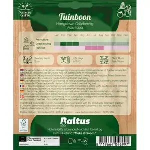 Tuinboon hangdown groenkernig per 4m - afbeelding 2