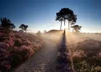 Tuinschilderij 70x50cm