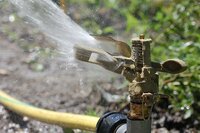 Tuinsproeiers en spuiten