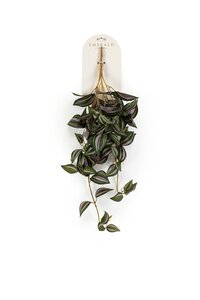 Vaderplant hangend l20cm groen