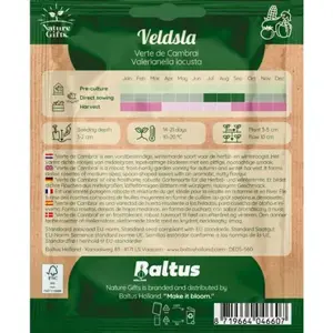 Veldsla verte de cambrai per 20m - afbeelding 2