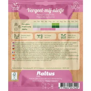 Vergeet-mij-nietje indigo compacta 801st - afbeelding 2