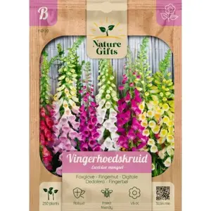 Vingerhoedskruid excelsior mengsel 250st