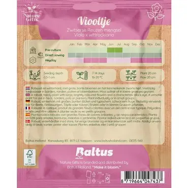 Viooltje zwitserse reuzen mengsel 60st - afbeelding 2