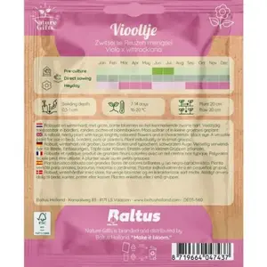 Viooltje zwitserse reuzen mengsel 60st - afbeelding 2