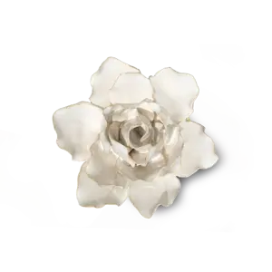 843458165798
