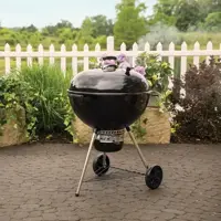 Weber Barbecues