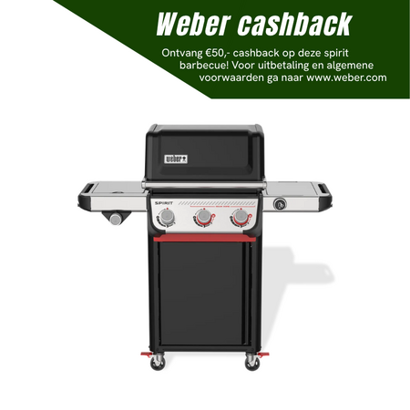 Weber Spirit ep-335 | PRE-ORDER