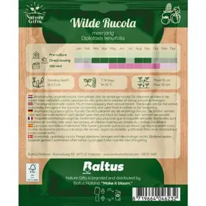 Wilde rucola per 20m - afbeelding 2