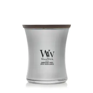 WoodWick Precious Metals Candescent Coast Medium Candle - Silver