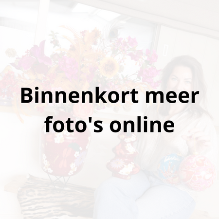 Workshop kerstboom - kunst van Marianne - 24 oktober - afbeelding 2