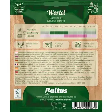 Wortel caravel f1 - afbeelding 2