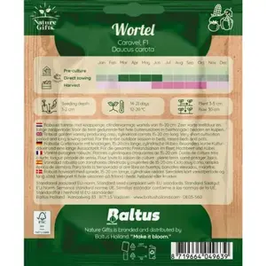 Wortel caravel f1 - afbeelding 2