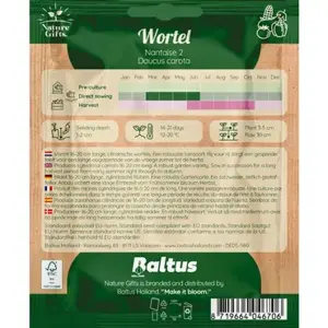 Wortel nantaise 2 per 10m - afbeelding 2