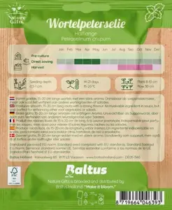 Wortelpeterselie halflange per 20m - afbeelding 2