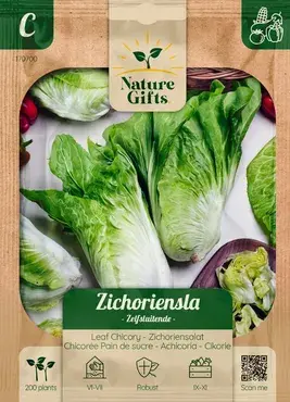 Zichoriensla herfstsla 200st - afbeelding 1