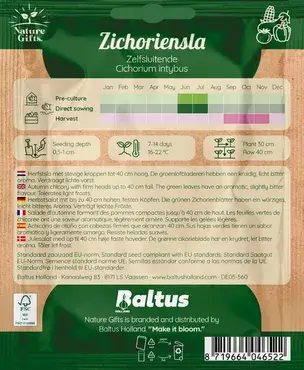 Zichoriensla herfstsla 200st - afbeelding 2