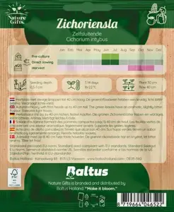 Zichoriensla herfstsla 200st - afbeelding 2