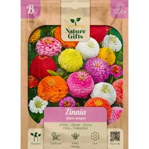 Zinnia liliput mengsel 50st - afbeelding 1
