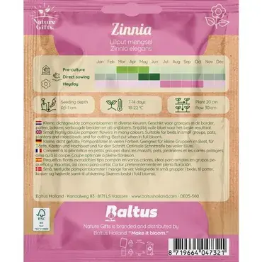 Zinnia liliput mengsel 50st - afbeelding 2