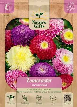 Zomeraster prinses mengsel 70st - afbeelding 1