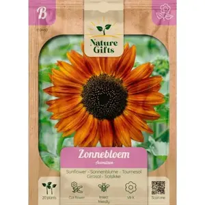 Zonnebloem avondzon 20st