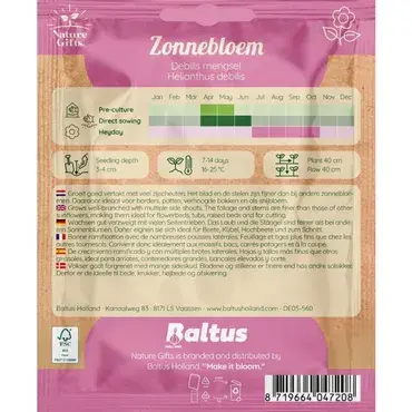 Zonnebloem debilis mengsel 50st - afbeelding 2