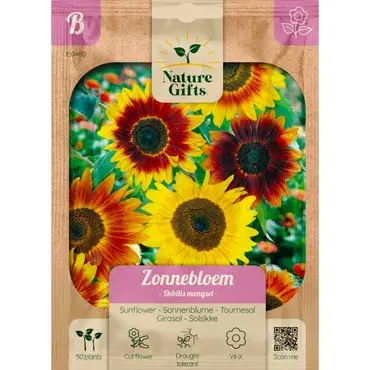 Zonnebloem hoge reuzen 15st - afbeelding 1