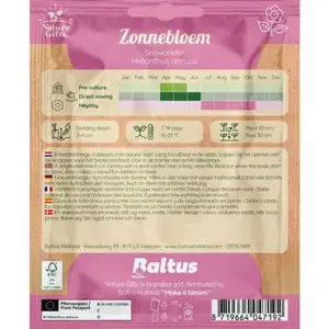 Zonnebloem snijwonder 10st - afbeelding 2